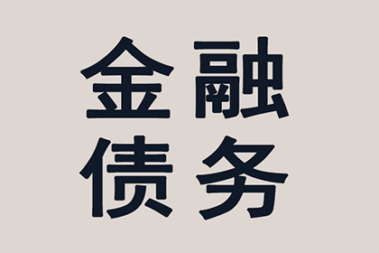 小金追帐公司